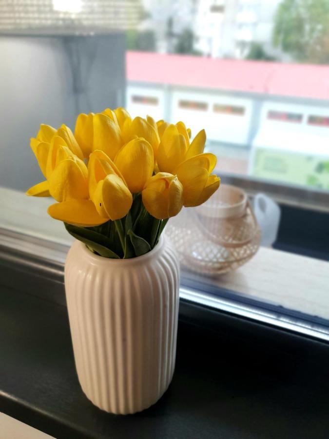 'Just Like Home' Apartment - With Private Parking Place 갈라치 외부 사진